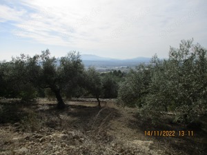 Finca südlich von Barcelona...ca.15 Km von Meer entfernt, aus altersgründe zu verkaufen 