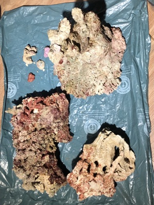 Meerwasser Aquarium Lebendgestein (ca.15 kg) Bild 2