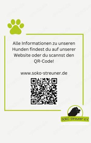 Pitzi liebt es zu Kuscheln Bild 9