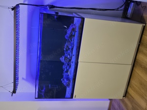 Meerwasseraquarium Red SEA REEFER 425XL VHB