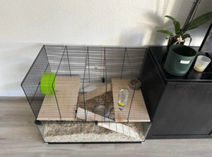 hamster köfig 