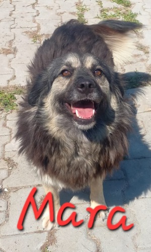 7 Jährige Mara sucht jemand, der sie gern krault Bild 2