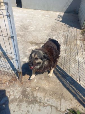 7 Jährige Mara sucht jemand, der sie gern krault Bild 7