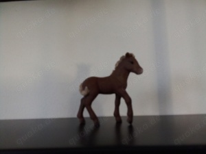 schleich Fohlen