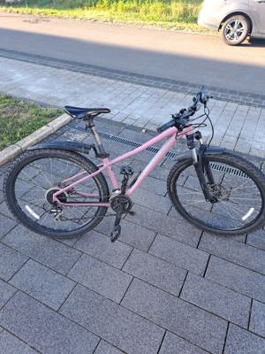 Jugend Fahrrad Specialized