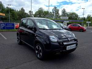 Fiat Panda 1.0 City Plus Bild 2