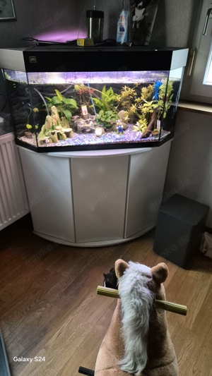 Aquarium mit pumpe