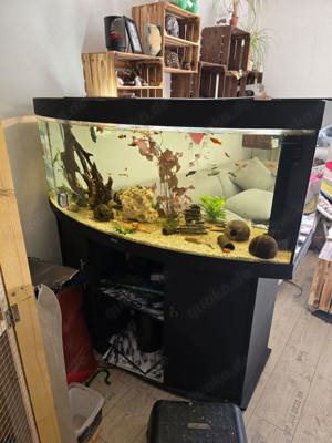 450 l aquarium 