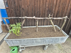 Gartenhochbeet Metall mit rollbarem Untergestell