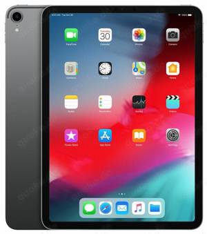 Apple iPad Pro 1. Gen 256GB, Wi Fi, 11 Zoll   Space Grau