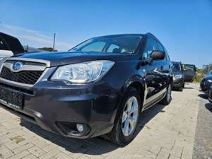 Subaru Forester Exclusive