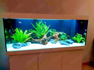 Juwel Rio 450l LED Aquarium inkl Unterschrank in weiß