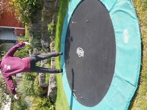 Boden-Trampolin von Berg Bild 4