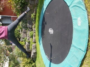 Boden-Trampolin von Berg Bild 6