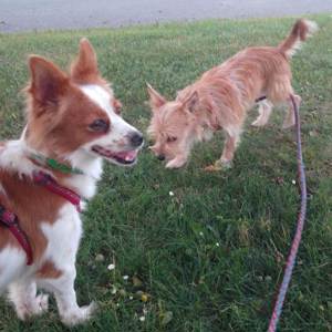 Nuki und Nuka, unzertrennliches Mama-Tochter-Gespann