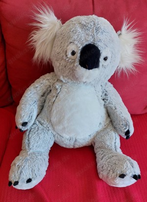 Koala Kuschelfreund