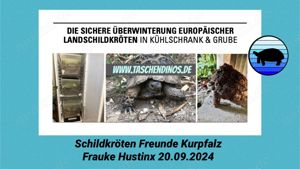 Infoabend der Schikdkrötenfreunde Kurpfalz in Heidelberg am 20.09.2 