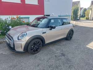 MINI Cooper Mini Cooper wie neu - sucht gute Hände