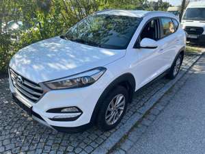 Hyundai TUCSON Tucson blue 1.6 GDi 2WD Advantage