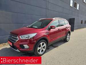 Ford Kuga Titanium PANO eHeck TOTWINKEL