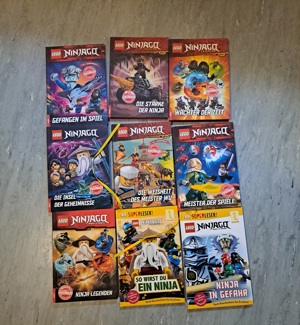  Ninjago Bücher