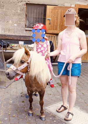 Bildschönes liebes Mini Shetlandpony Stütchen   Kinderpony abzugeben