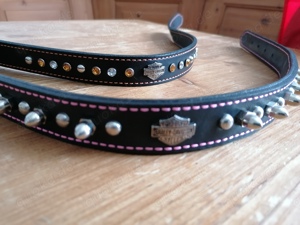 Harley Davidson Hundehalsband