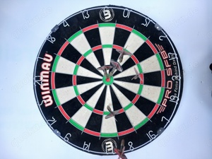 Winmau Pro SFB Sisal-Dartboard 