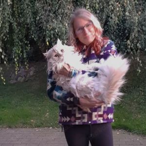 Maine Coon Deckkater sucht Beziehung wenn auch leider nur für eine kurze Zeit :-) Bild 4