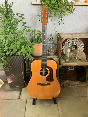 Washburn D61 SWN Gitarre Westerngitarre