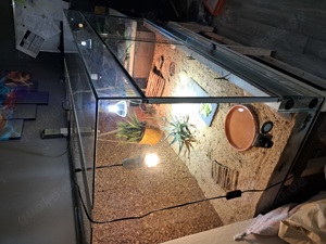 Terrarium 150 x 80 x 80