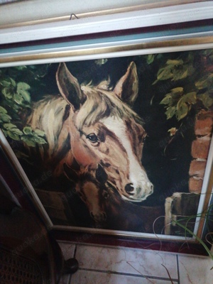 Bilder Komplettset  Bild 2