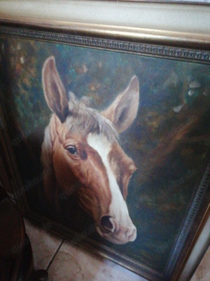 Bilder Komplettset  Bild 3