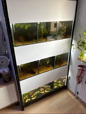 Aquarium Zuchtanlage Zuchtregal