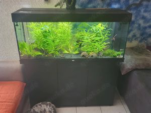 Aquarium Juwel mit Unterschrank und 1 Jahr Garantie noch