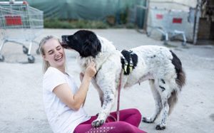 Die wunderschöne Kelly sucht tierliebe Menschen! Bild 7
