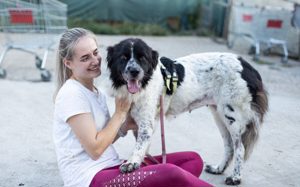 Die wunderschöne Kelly sucht tierliebe Menschen! Bild 5