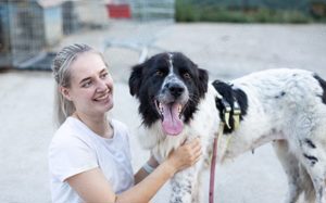 Die wunderschöne Kelly sucht tierliebe Menschen! Bild 8