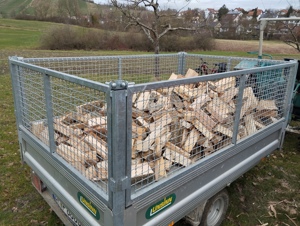 Brennholz nur Hartholz sehr trocken Bild 10