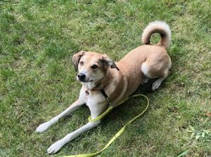 Polly sucht ihren sicheren Hafen