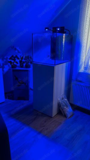 Meerwasseraquarium 140 Liter