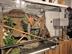 Terrarium zu verkaufen