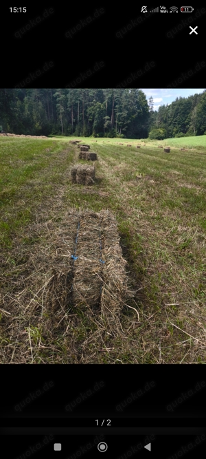 KLEINE HEUBALLEN zu verkaufen!