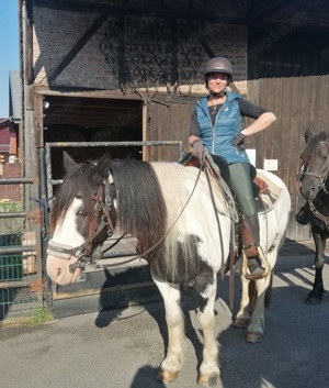 Reitbeteiligung (Reiter sucht Pferd)