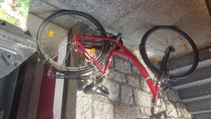 Damenfahrrad rot 