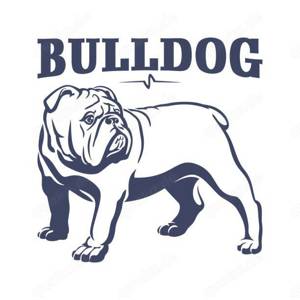 suche eine Bulldogge 