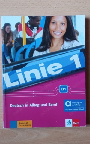 Linie 1 B 1 - Hybride Ausgabe allango Deutsch in Alltag und Beruf 9783126070171