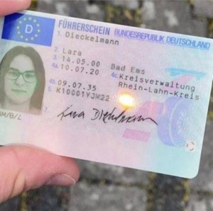 Führerschein Eingetragen in Deutschland