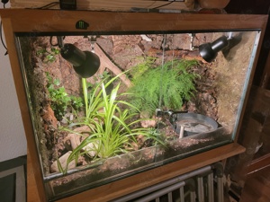 HolzTerrarium. 