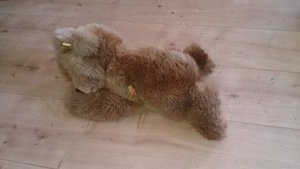 Teddy Bär Teddybär  Original Steiff "Floppy" liegend Knopf im Ohr 